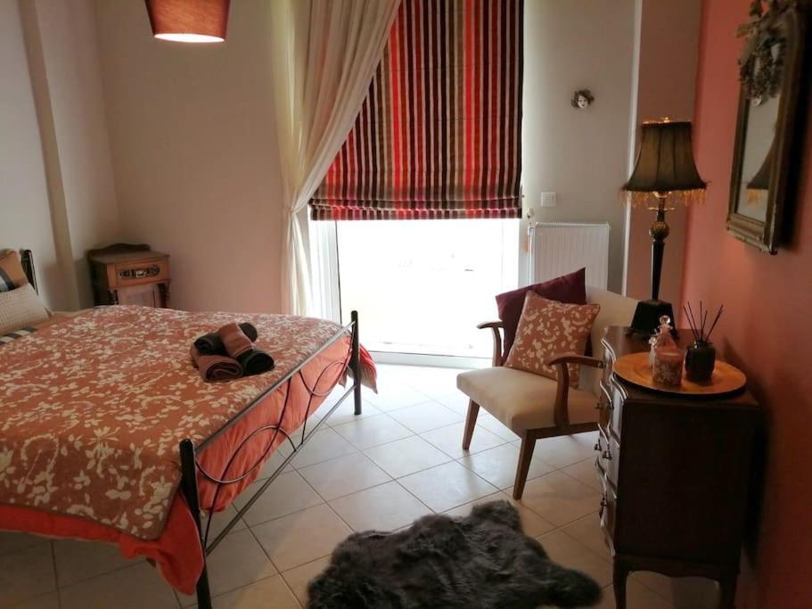 Central Spacious Apartment 70Sqm 特里波利斯 外观 照片
